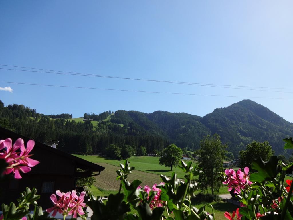 Apartament Haus Sylvia Reith im Alpbachtal Pokój zdjęcie